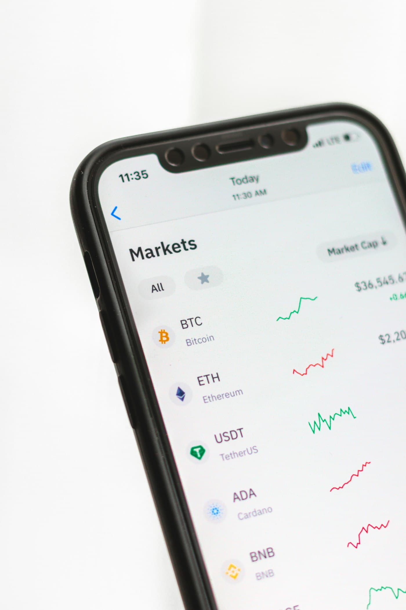 Bull market and bullish crypto fashion mood